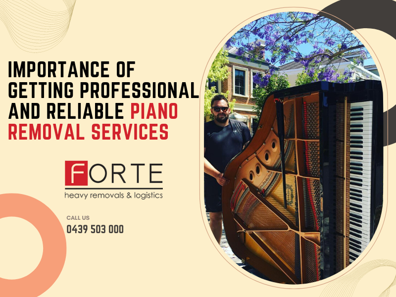 Importance of Getting Professional and Reliable Piano Removal Services