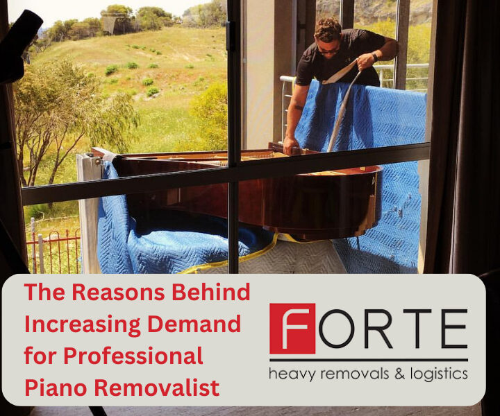 The Reasons Behind Increasing Demand for Professional Piano Removalist