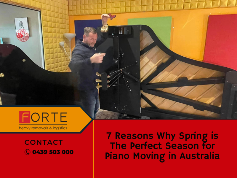 7 Reasons Why Spring Is The Perfect Season For Piano Moving in Australia