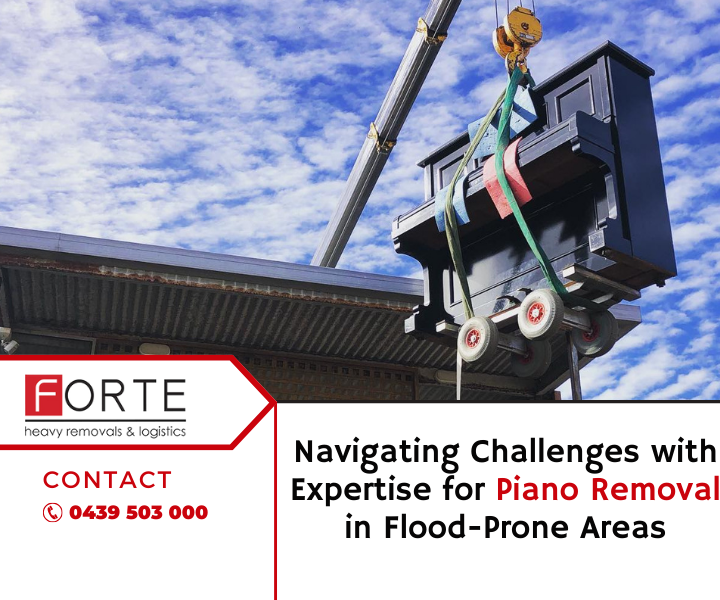 Navigating Challenges With Expertise For Piano Removal In Flood-Prone Areas