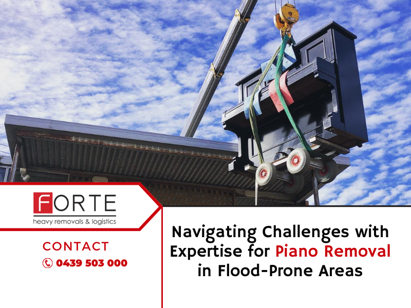 Navigating Challenges With Expertise For Piano Removal In Flood-Prone Areas