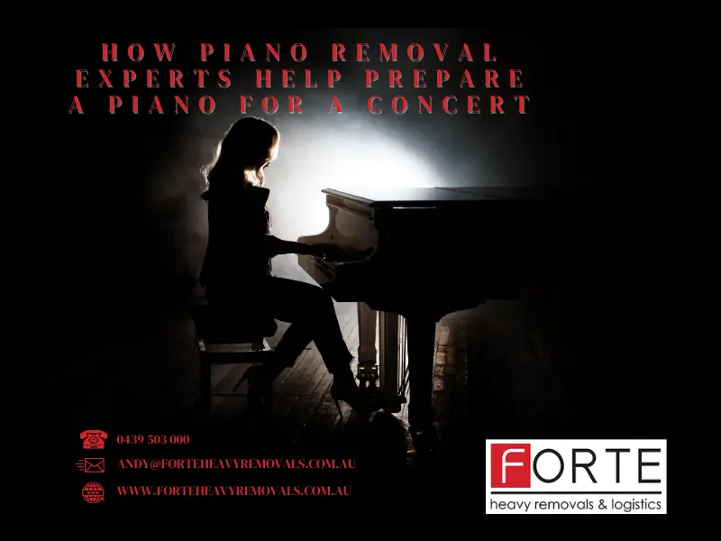 How Piano Removal Experts Help Prepare A Piano For A Concert