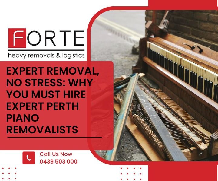 Expert Removal, No Stress: Why You Must Hire Expert Perth Piano Removalists
